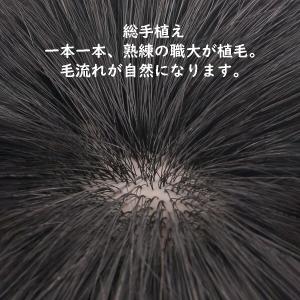 部分ウィッグ 人毛 100% 15cm 20c...の詳細画像1