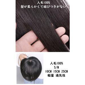 部分ウィッグ 人毛 100% 15cm 20c...の詳細画像2