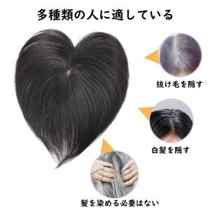 部分ウィッグ 人毛 100% 15cm 20c...の詳細画像3