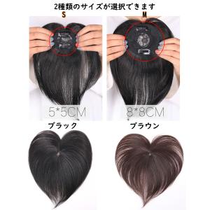 部分ウィッグ 人毛 100% 15cm 20c...の詳細画像4