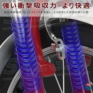 三輪車 大人 三輪自転車 20インチ 折りたた...の詳細画像4