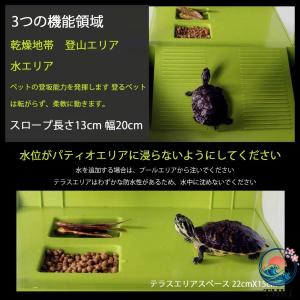 亀 ケージ タートルタンク カメの水槽 タート...の詳細画像5