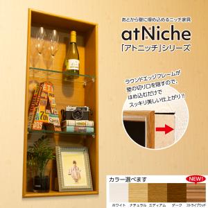 南海プライウッド ミニッチ300台座タイプ 壁厚飾り棚収納 ニッチ