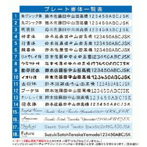 表札 ステンレス調 アクリル ポスト マンショ...の詳細画像2