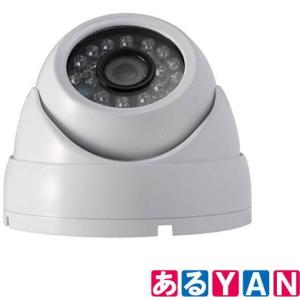 NSK 非発光全天候小型ドームカメラ NS-F202C 家内eye ハイビジョン対応 暗視 防犯