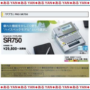 キングジム テプラ Pro Sr750 Ys テプラproテープカートリッジ蓄光ラベル24mm幅1個付き 限定サービスセット 新品 送料無料 Tepra 爆売りセール開催中