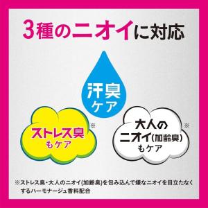 【医薬部外品】エージーデオ24 プレミアムデオ...の詳細画像1