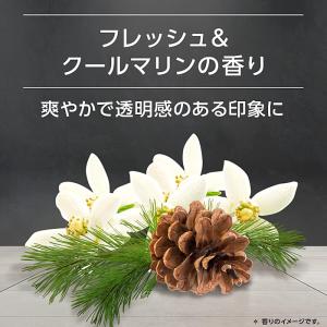 アックス フレグランス ボディスプレー ブラッ...の詳細画像1