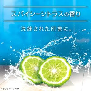 アックス フレグランス ボディスプレー クリッ...の詳細画像1