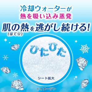 ビオレ 冷タオル 無香性 5本入 3個セット ...の詳細画像1
