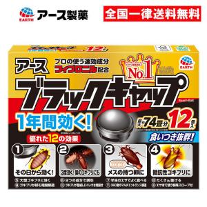 RFロゴ ブラックキャップ 2個セット ブラックキャップ18個入 : シャイニングストアNEXT - 通販 - Yahoo