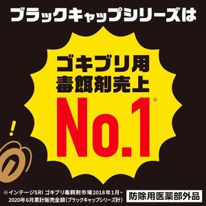 ブラックキャップ 12個入 1個 ゴキブリ駆除...の詳細画像1