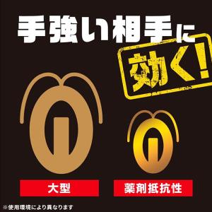 ブラックキャップ 12個入 1個 ゴキブリ駆除...の詳細画像3