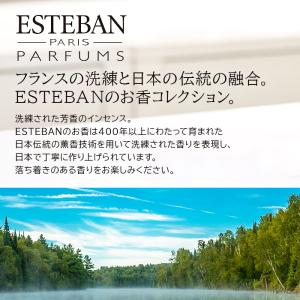 エステバン インセンス 40本入 スティック ...の詳細画像1