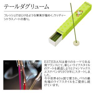 エステバン インセンス 40本入 スティック ...の詳細画像5