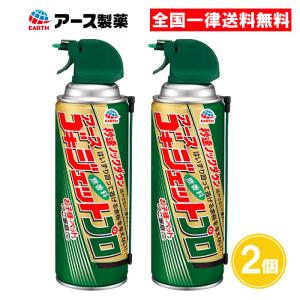 ゴキジェットプロ 450ml 2個セット 殺虫剤 アース製薬｜as-store