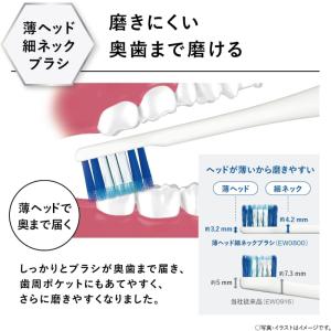 ドルツ用 替ブラシ EW0800 2本入 1個...の詳細画像1