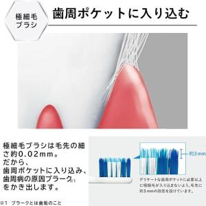 ドルツ用 替ブラシ EW0800 2本入 1個...の詳細画像2