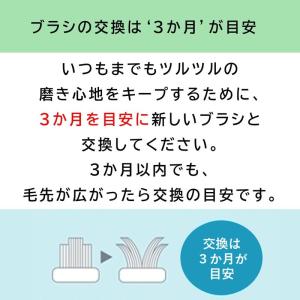 ドルツ用 替ブラシ EW0800 2本入 1個...の詳細画像4