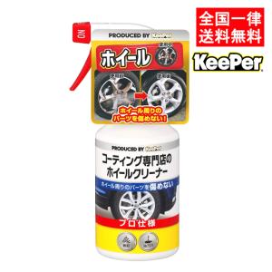 KeePer技研 キーパー技研 鉄粉 アイアンイーター 500ml 鉄粉除去剤
