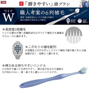 磨きやすい歯ブラシ 極 ワイド ふつう 6本セ...の詳細画像2