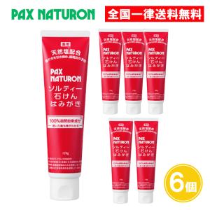 パックスナチュロン ソルティー石けんはみがき 120g 6個セット 太陽油脂