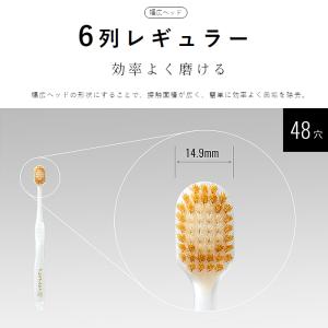 プレミアムケア ハブラシ 6列レギュラー 6個...の詳細画像2