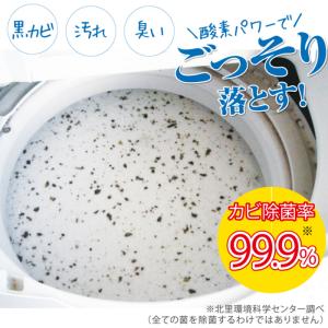 シャボン玉石けん 洗たく槽クリーナー 500g...の詳細画像1