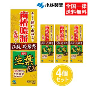 生葉EX 100g 4個セット 薬用ハミガキ 小林製薬｜as-store
