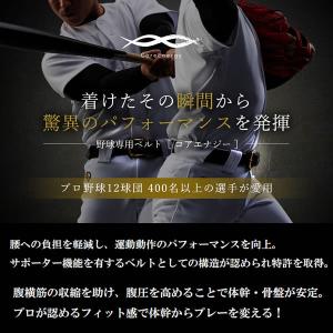 コアエナジー(Core Energy) CGB...の詳細画像1