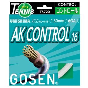 GOSEN（ゴーセン） エッグパワー16オレンジ TS1002OR テニス ガット