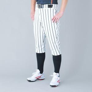 ゼット（ZETT） 野球 練習着 少年用ストライプパンツ ジュニア : 野球