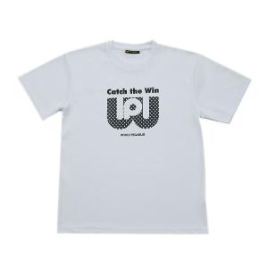 ワールドペガサス （WORLD PEGASUS） WAPTS91 01W 野球 半袖Tシャツ 20SSの商品画像
