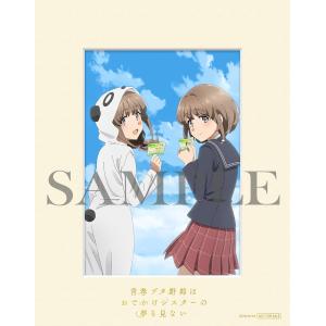 青春ブタ野郎はおでかけシスターの夢を見ない 完...の詳細画像3