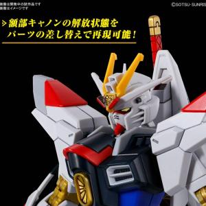 HG 機動戦士ガンダムSEED FREEDOM...の詳細画像1
