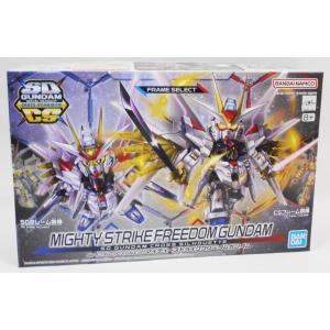 BANDAI RG 機動戦士ガンダムSEED DESTINY ZGMF-X42S BANDAI RG 機動戦士ガンダムSEED DESTINY ZGMF-X42S