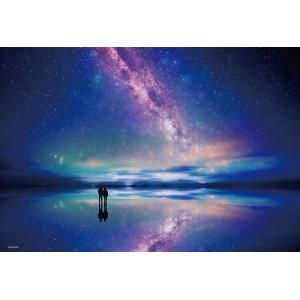 新品パズル 星空のパリ市庁舎 「海外風景/世界遺産」 ジグソーパズル
