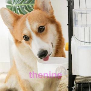 給水機 給水器 ペット用 犬 猫 家庭用 給餌...の詳細画像1