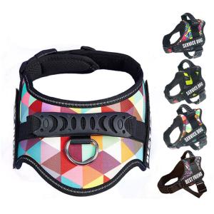 BURBERRY バーバリー ドッグリード 8073365 レザー バーバリーチェック