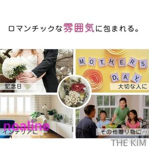 スーパー 手提げ袋付き ドライフラワー 花瓶付...の詳細画像4