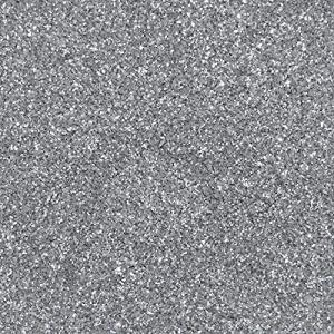 ラメ フレーク パウダー 0.2mm 六角 110g (シルバー)