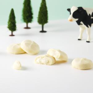 朝霧乳業 焼きチョコクッキー 10個入 あさぎ...の詳細画像1