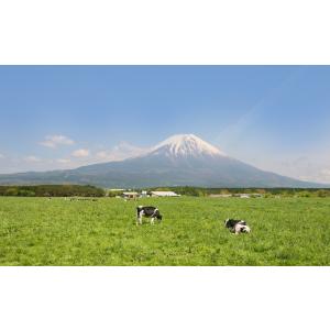 静岡朝霧高原 ふんわりパンケーキサンド|あさぎ...の詳細画像4