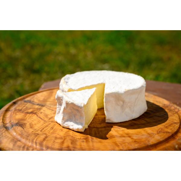 手作りチーズ Mt. Fuji Craft! Farm カマンベール｜朝霧高原産ミルク使用｜クラフト...