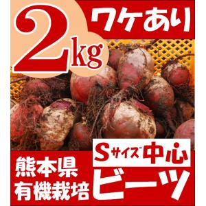 有機 ビーツ 2kg 熊本県産 野菜 栄養 予約販売 : あさぎり農園 - 通販
