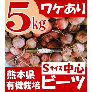 ワケあり 有機 ビーツ 熊本県産 Sサイズ中心 ５kg 限定品