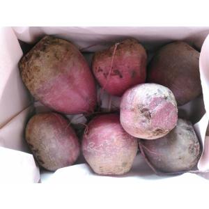 有機 ビーツ 1kg 熊本県あさぎり町産 野菜...の詳細画像5