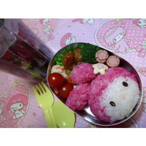 ビーツ 粉末 国産 無添加 栄養 血圧 ベジタ...の詳細画像4