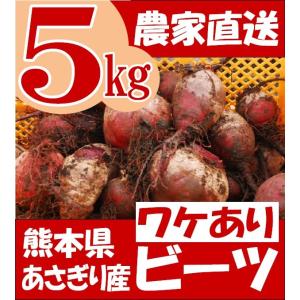 有機 ビーツ 2kg 熊本県産 野菜 栄養 予約販売 : あさぎり農園 - 通販