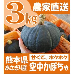 空中かぼちゃ 栗えびす 計3kg 熊本県 あさぎり町産　